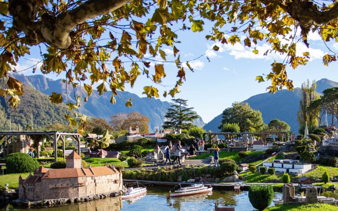 Extraordinary fall openings